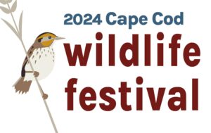 Cape Cod Wildlife Festival 2024 in Barnstable MA