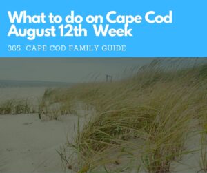 What to Do on Cape Cod August 12th week 2024